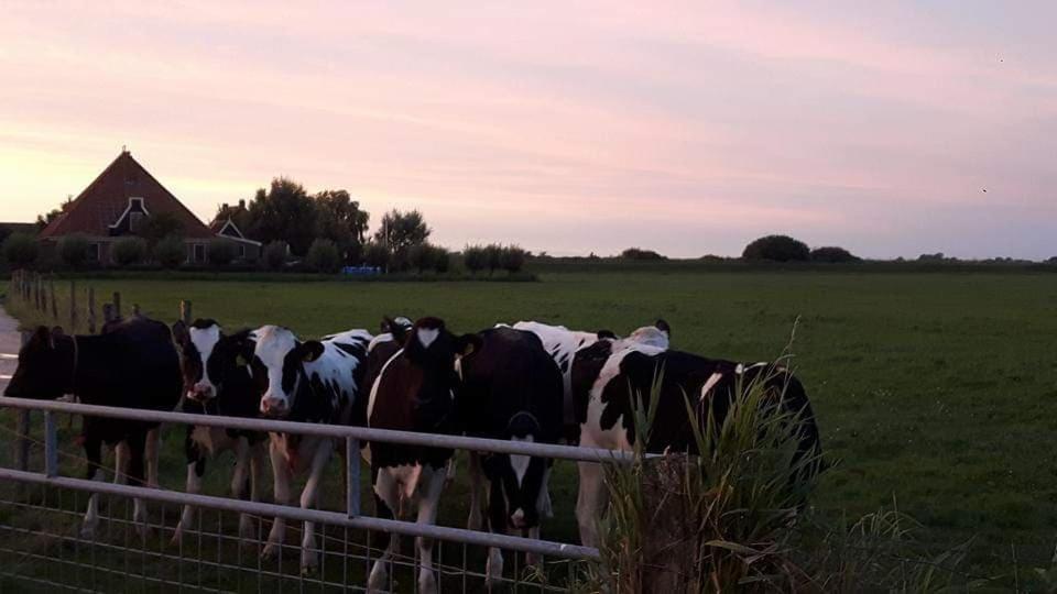 B&B Beemsterblik Graft Buitenkant foto