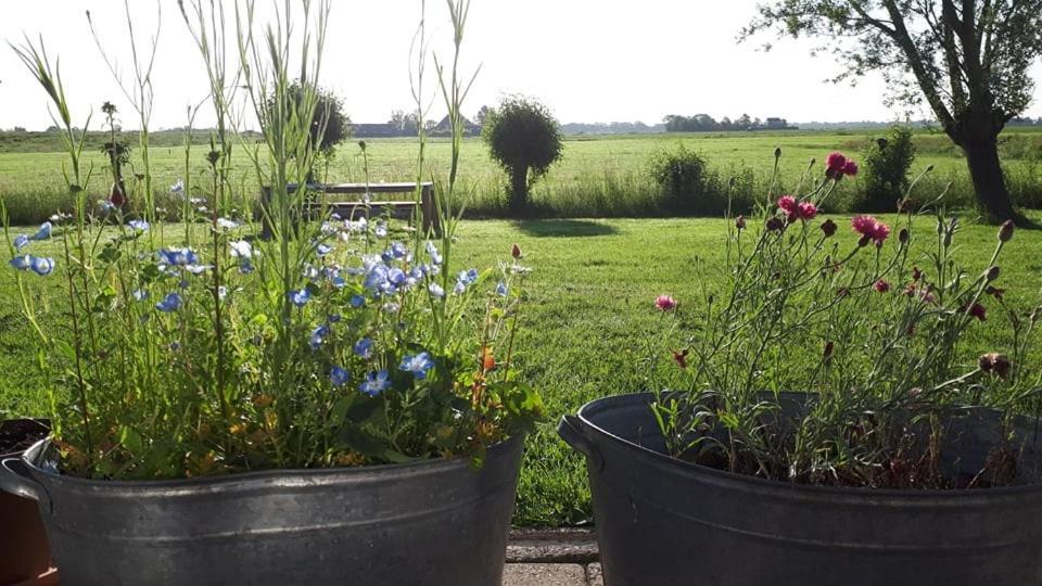 B&B Beemsterblik Graft Buitenkant foto